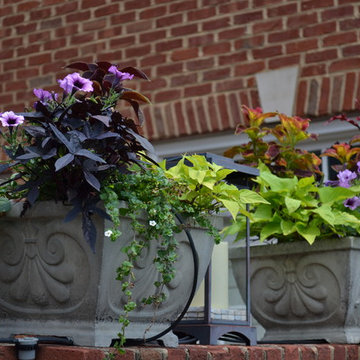Townhouse Garden