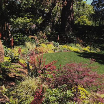 Vibrant Piedmont Front Yard