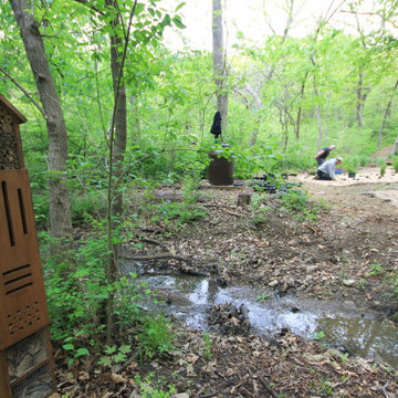 Native Plant Landscaping, Hardscaping, and Bioswales