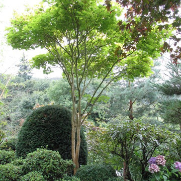 Oriental garden in Germany