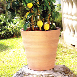 Italian White Terracotta Cone Garden Planter - Outdoor Pots And Planters