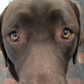 Cooper's photo