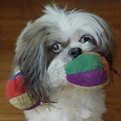 Heather Leseney-Barber's photo