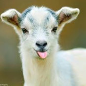 George Junge's photo