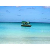 Fiona Rumley's photo