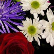 Beverly Powell's photo