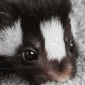 Sonia Janovjak's photo