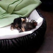 Jessica Solano's photo