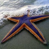 Sheri Mroz's photo