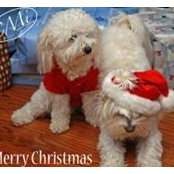 Pamela Borror's photo