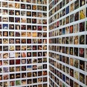 Gio Guimaraes's photo