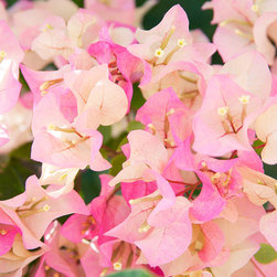 New Stock Photography - Products