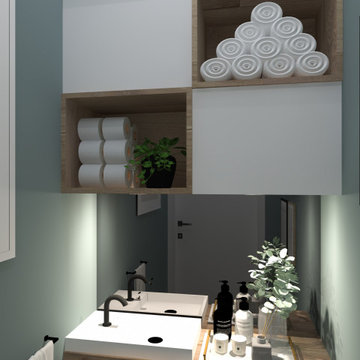 Projection visuels 3D toilettes