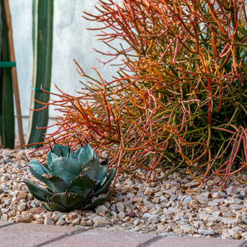 Paradise Pool and Outdoor Living Landscape on Paradise Valley