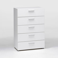 Organization