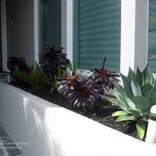 Planters