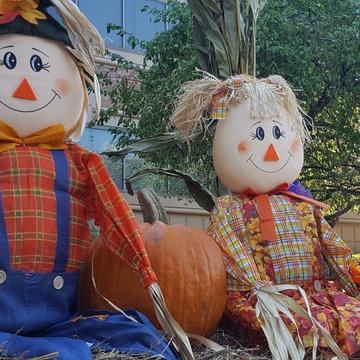 Fall Decor