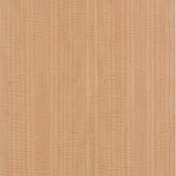 Contemporary Door Styles - Kitchen Cabinetry