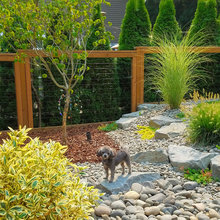 Dog Friendly landscapes
