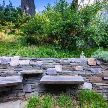 Grassy Meadow Oasis - Reduces Waste While Increasing Habitat