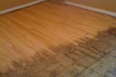 Hardwood Classics Restoration Grosse, Hardwood Floor Refinishing Dearborn Mi