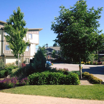 Integra Home Maintenance Solutions