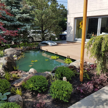 Contemporary Japanese Garden
