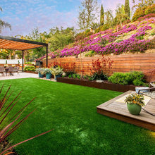 Backyard elevation/grading