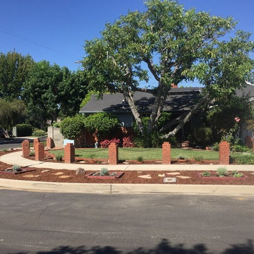 Nutsage Landscape Repair on Parkway with Mulch