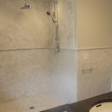 Tub to Shower Conversions
