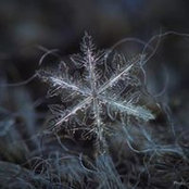Foto von Sally Mack
