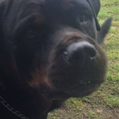 Karrie Hall's photo