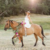 Lori Troy's photo