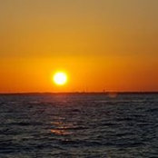 Roy Prestons foto