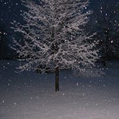 Beth Mullins's photo