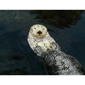 Eric Lau's photo