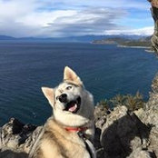Andres Posada's photo