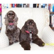 Marlene Witherell's photo