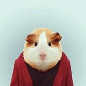 Eric Dunneさんの写真