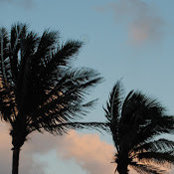 Gary Sussman's photo
