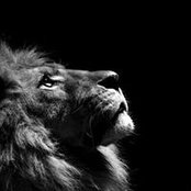 Carlos Cabrera's photo