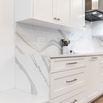 Total High Rise Condominium Penthouse Remodel