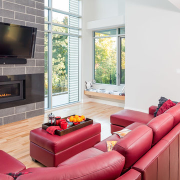 Contemporary & Minimalistic Living Room
