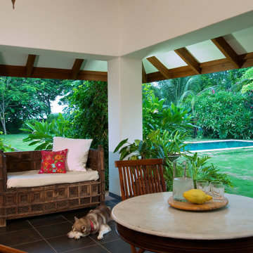 The Tropical House