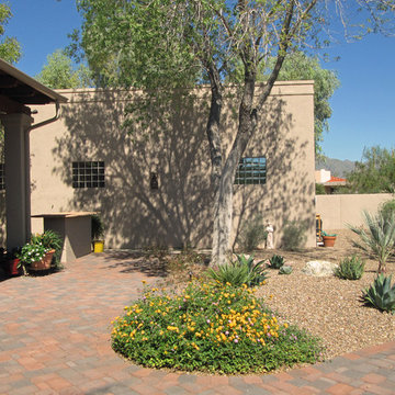 Tucson Reclaims the Turf