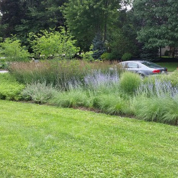 Griffiths Gardens