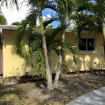 A Suarez exterior painting