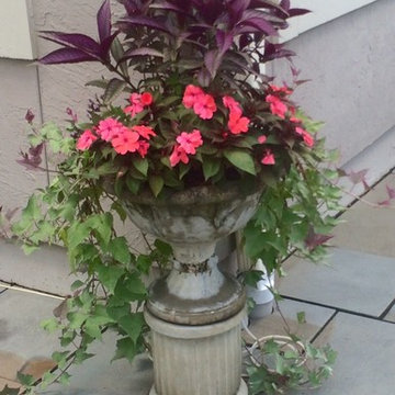 Seasonal Color
