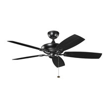 celing fan