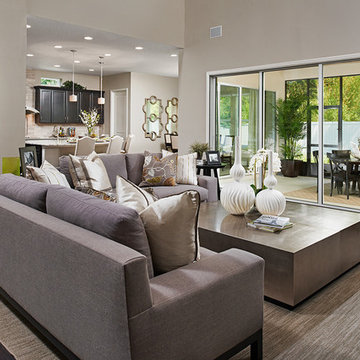 Heidi model home in Florida